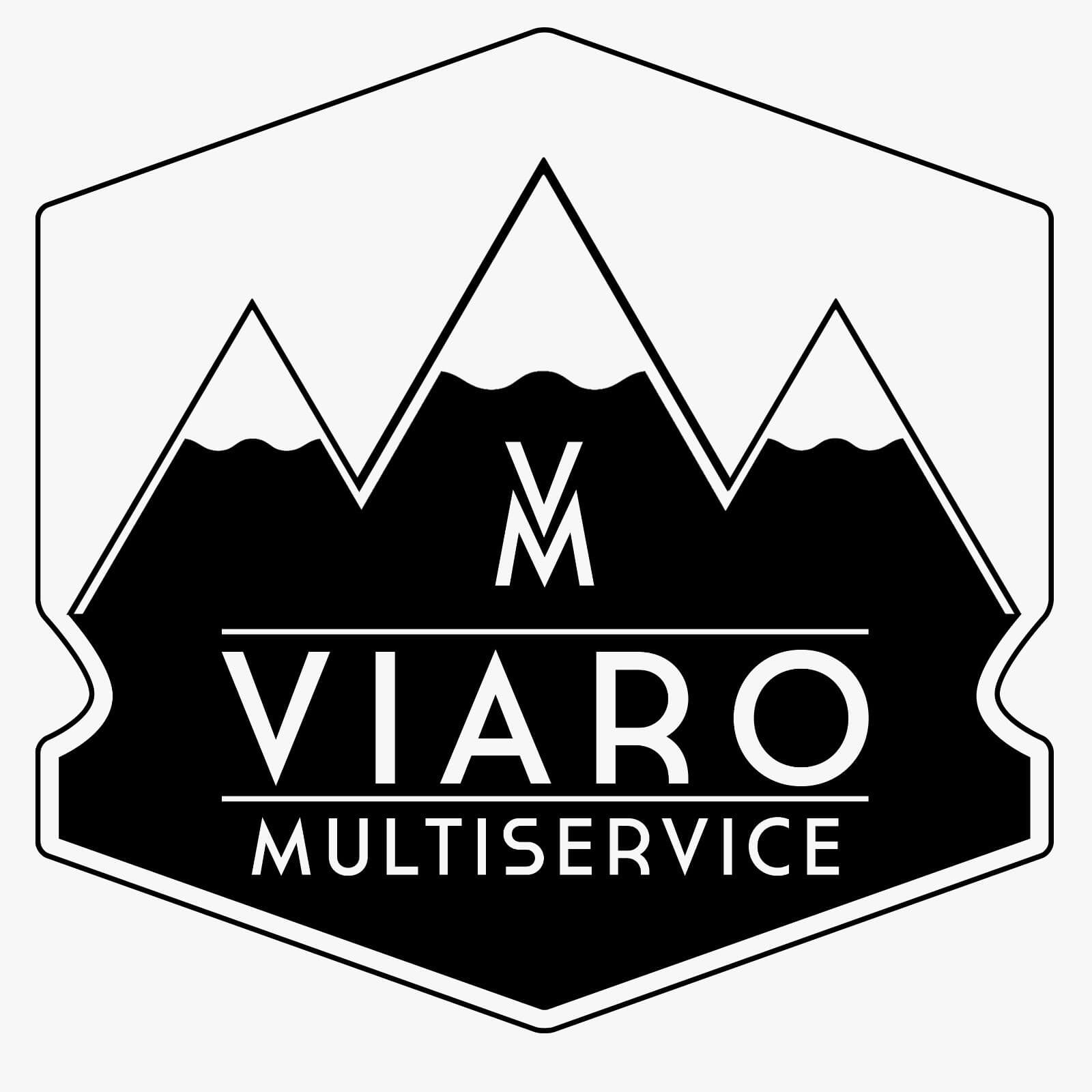 Summer Carnival: Logo sponsor Viaro Multiservice