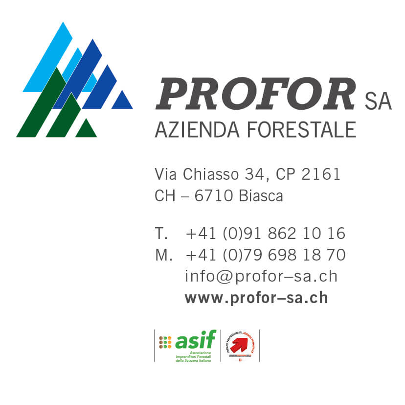 Summer Carnival: Logo sponsor Profor SA, Azienda forestale